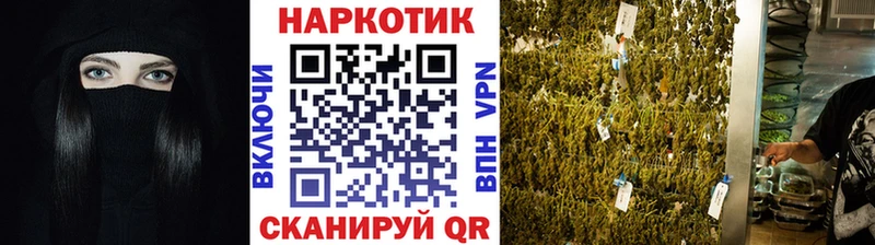 Где купить наркотики Ревда Кокаин  Alpha-PVP  МАРИХУАНА  Галлюциногенные грибы  Меф мяу мяу 