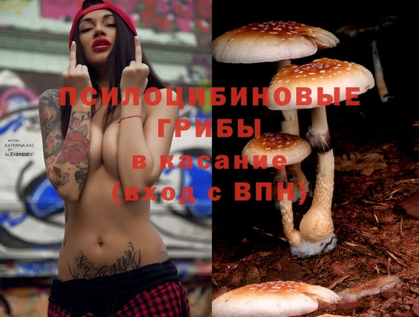 spice Арсеньев