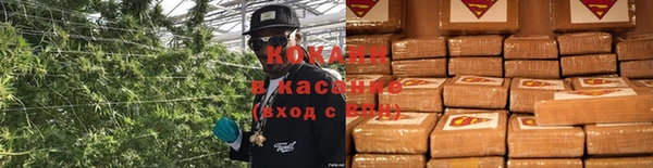 spice Арсеньев